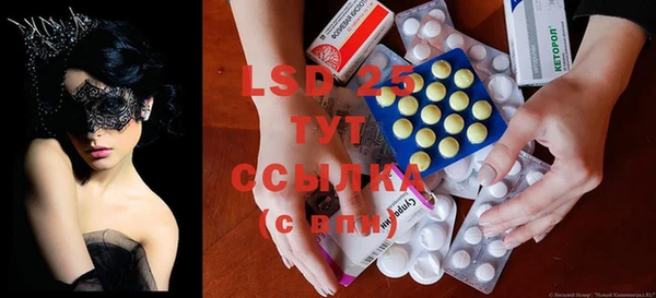 стаф Краснослободск